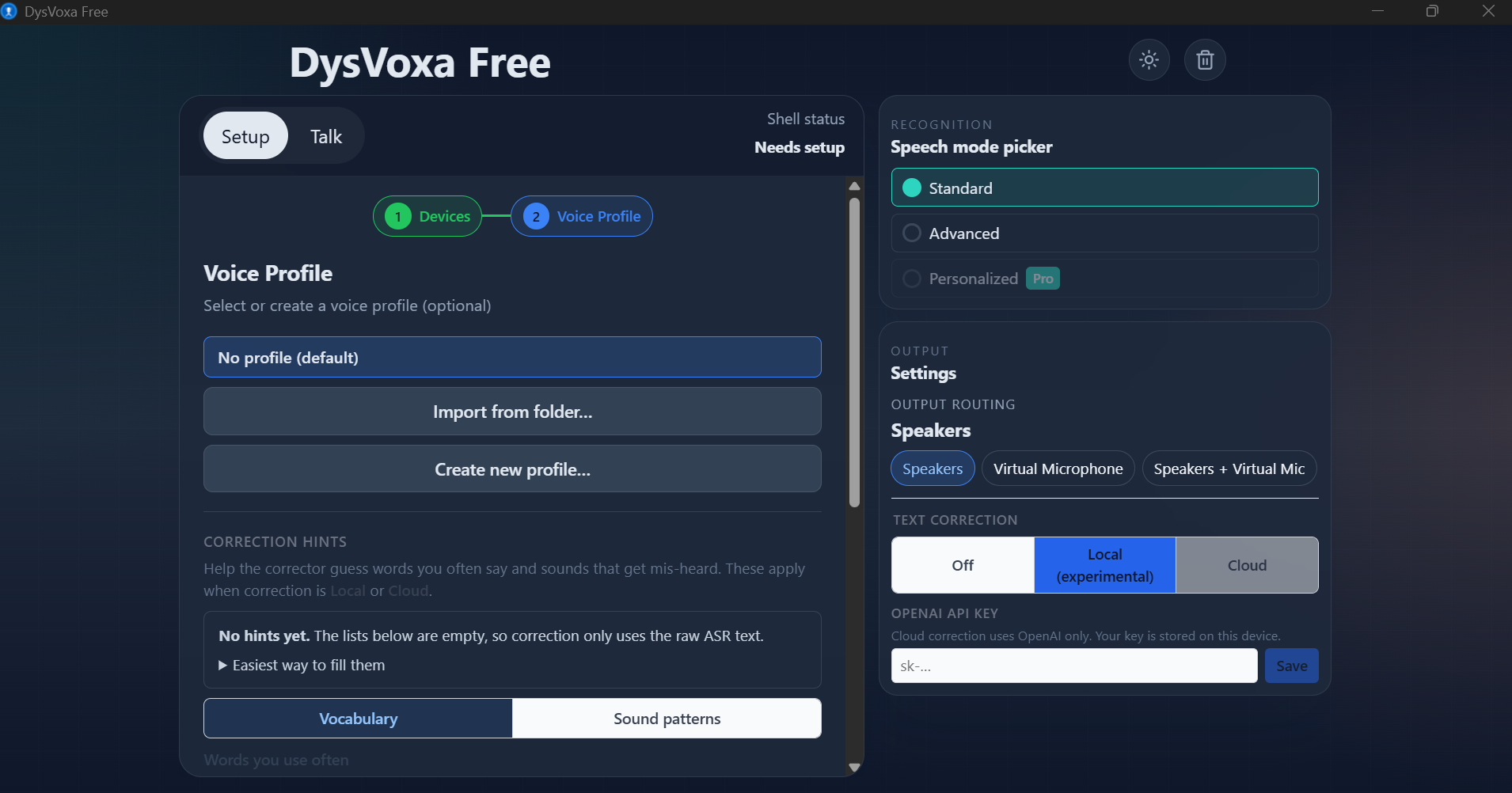 DysVoxa setup screen showing the Voice Profile step with options to use, create, or skip a profile